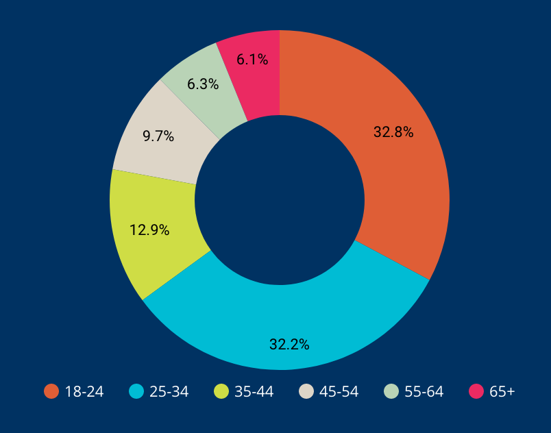 website visitor age demographics